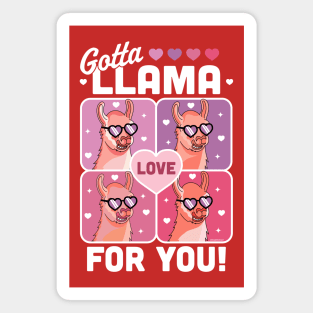 Gotta Llama Love For You Valentine's Day Llama Alpaca Funny Magnet